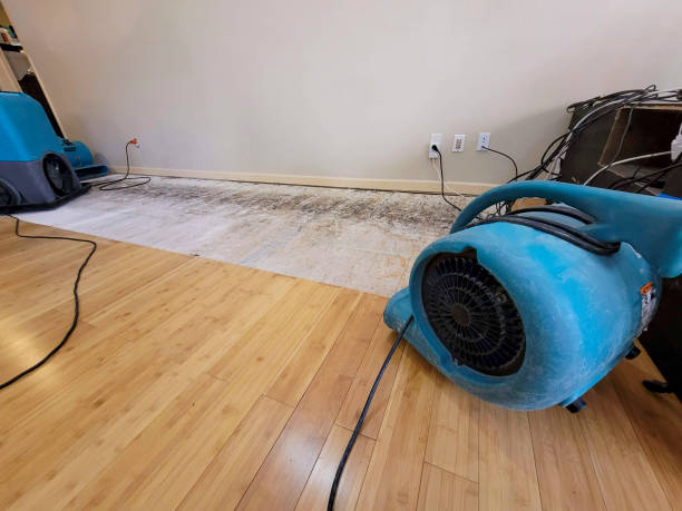 Professional Basement Flood Cleanup technician working in Westminster, TX